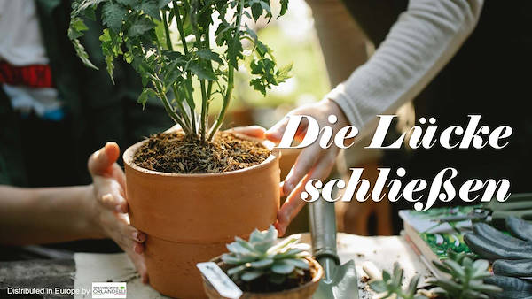 Garden Trends Report - Zweiter Teil