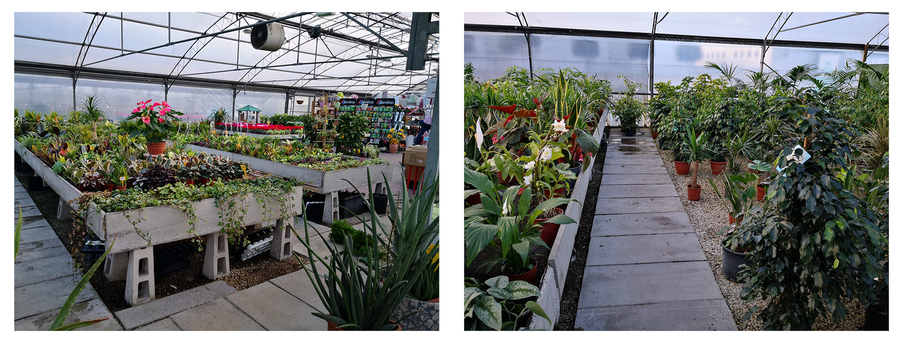 Vor der Neugestaltung waren die Räume überfüllt und schlecht verteilt. Die Ständer für die Ausstellung waren entschieden veraltet, unattraktiv und noch weniger funktional