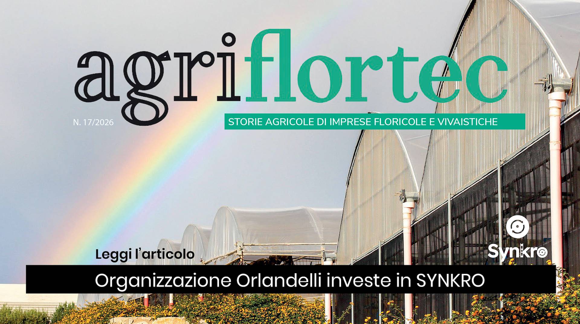 Cart management and digitalization: Organizzazione Orlandelli invests in the SYNKRO app