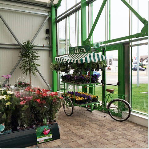 Glissando Garden Center: fornitura di bancali ed accessori a Timisoara