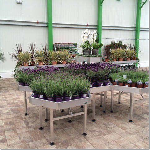 Glissando Gartencenter: Verkaufstische- und Zubehörlieferung in Temeswar