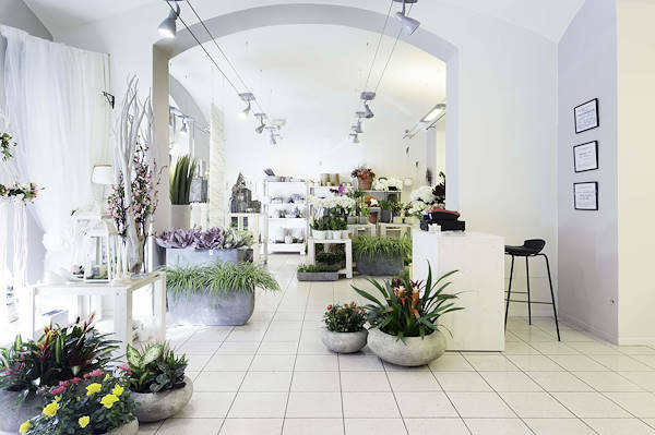 Green Garden, la nuova boutique del verde