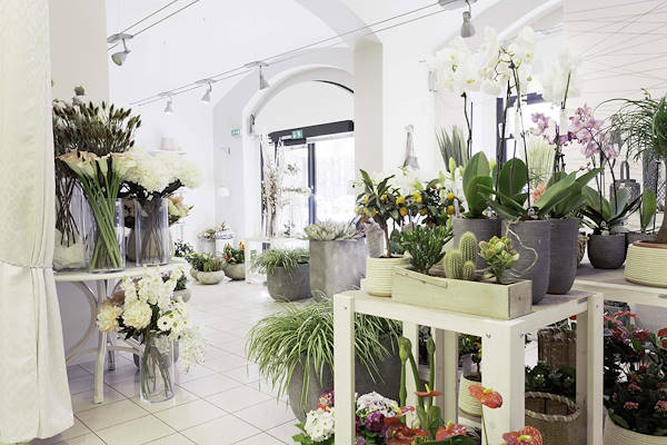 Green Garden, la nuova boutique del verde