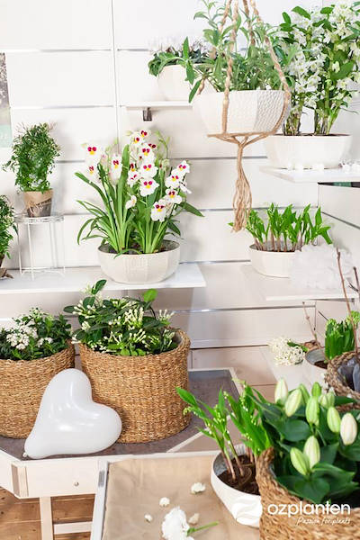 Greenhouse