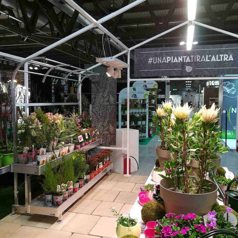THE GREENHOUSE Format- Garden Center Identity