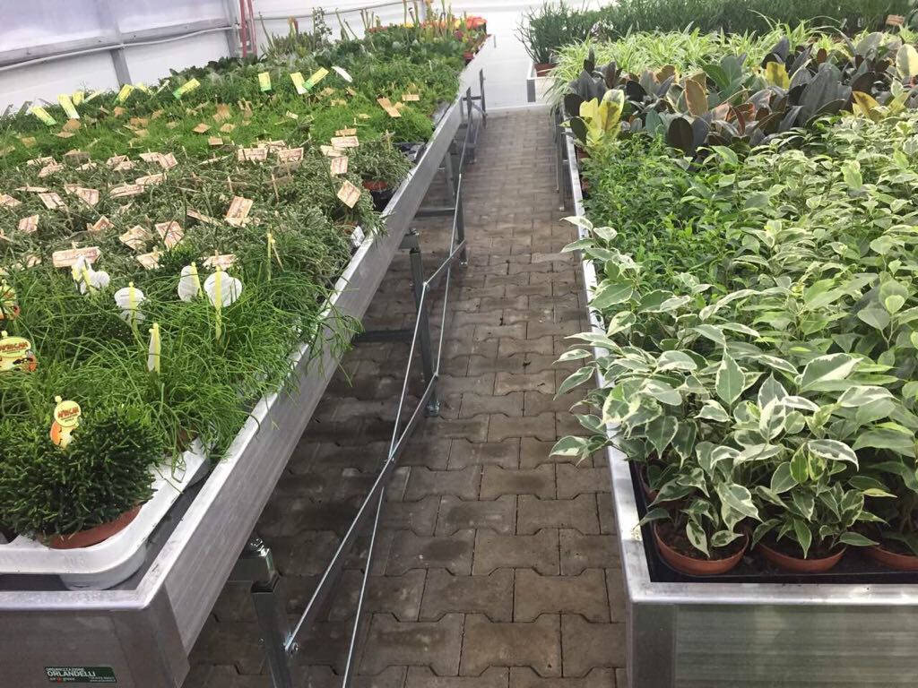 Greenville erneuert sich mit den Mobilproduktionstischen