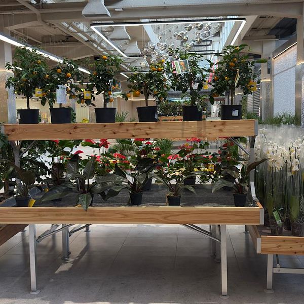 Gurt Flora wählt die Möbel von Orlandelli für seinen imposanten Store in Kiew
