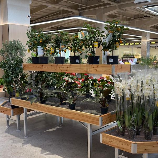 Gurt Flora wählt die Möbel von Orlandelli für seinen imposanten Store in Kiew
