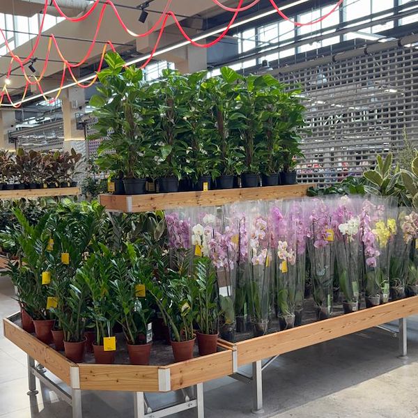 Gurt Flora wählt die Möbel von Orlandelli für seinen imposanten Store in Kiew
