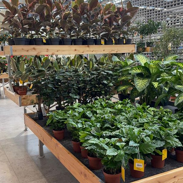 Gurt Flora wählt die Möbel von Orlandelli für seinen imposanten Store in Kiew