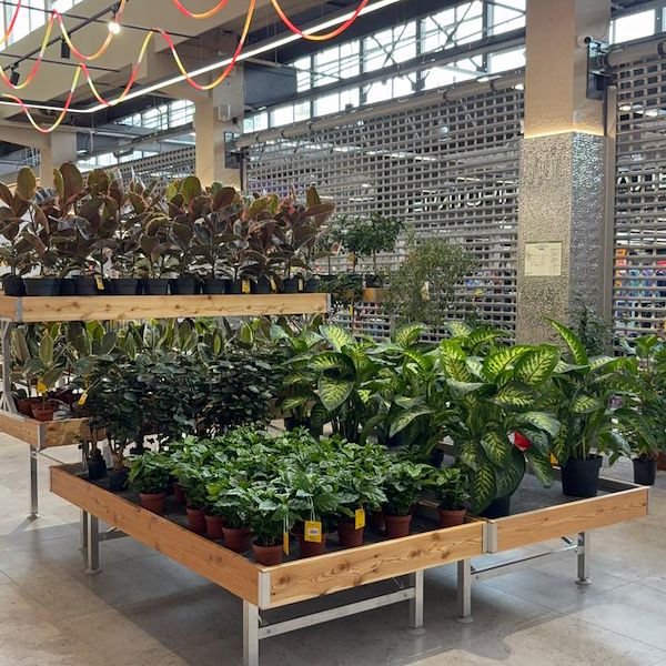 Gurt Flora wählt die Möbel von Orlandelli für seinen imposanten Store in Kiew