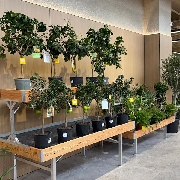 Gurt Flora wählt die Möbel von Orlandelli für seinen imposanten Store in Kiew