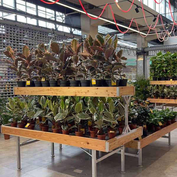 Gurt Flora wählt die Möbel von Orlandelli für seinen imposanten Store in Kiew