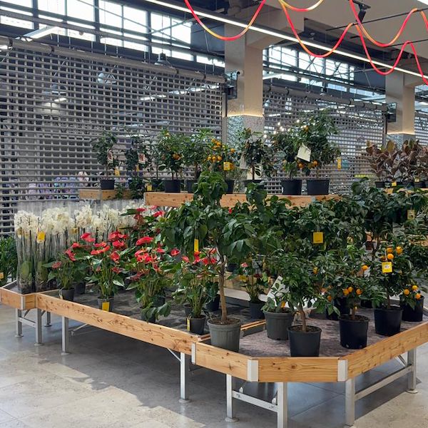 Gurt Flora wählt die Möbel von Orlandelli für seinen imposanten Store in Kiew