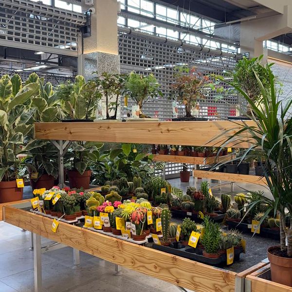 Gurt Flora wählt die Möbel von Orlandelli für seinen imposanten Store in Kiew