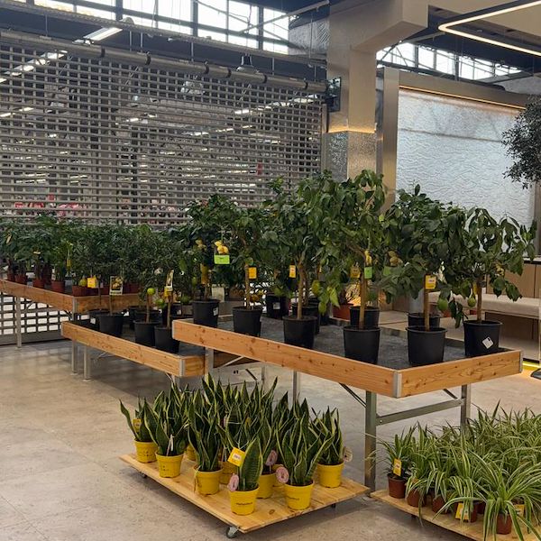 Gurt Flora wählt die Möbel von Orlandelli für seinen imposanten Store in Kiew