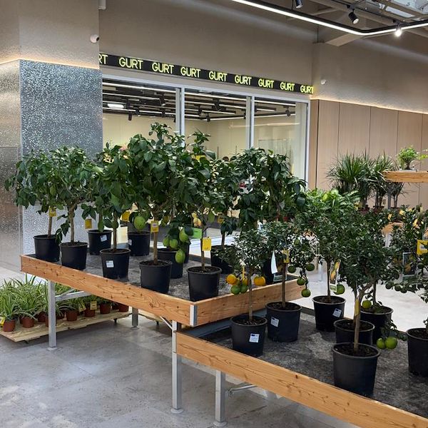 Gurt Flora wählt die Möbel von Orlandelli für seinen imposanten Store in Kiew