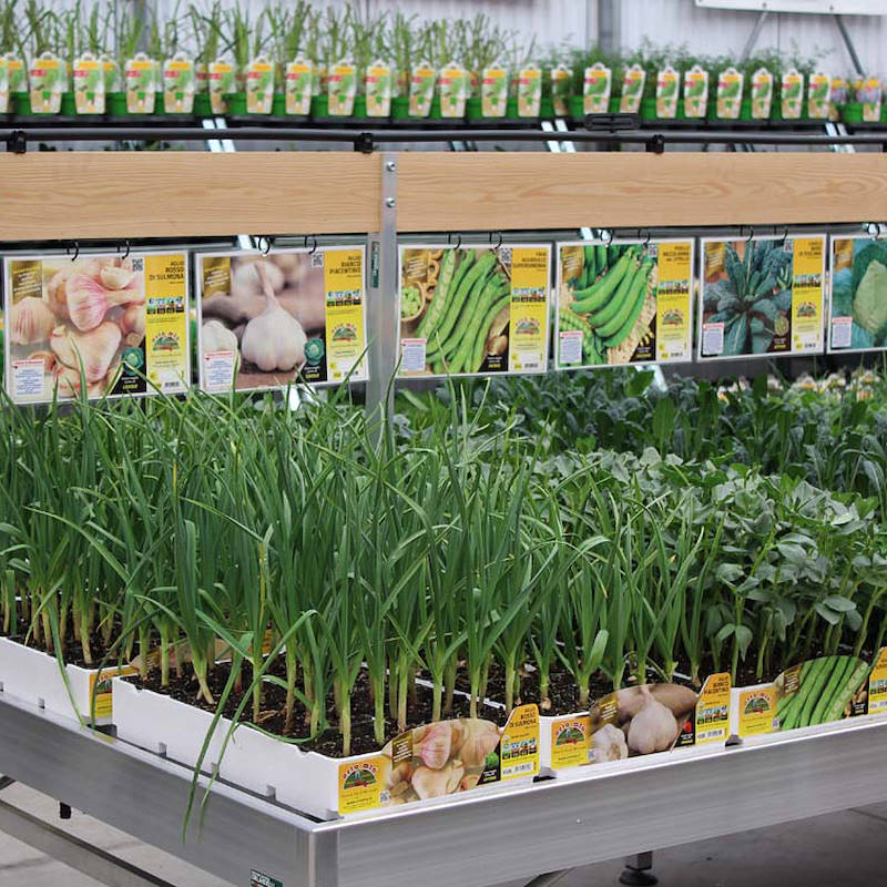 Holzplatten mit höhenverstellbaren Gestell für Verkaufstisch