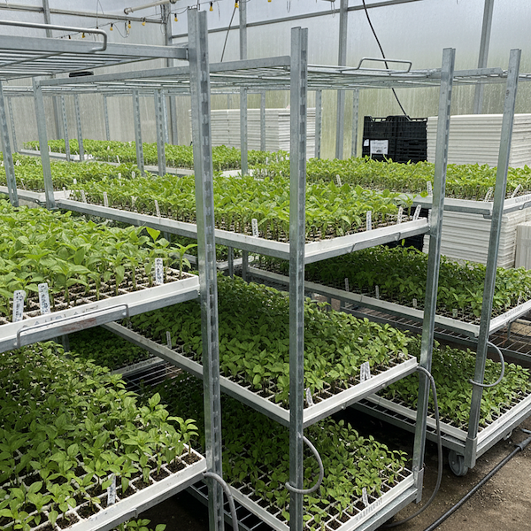 Carrello a griglia HortiPro