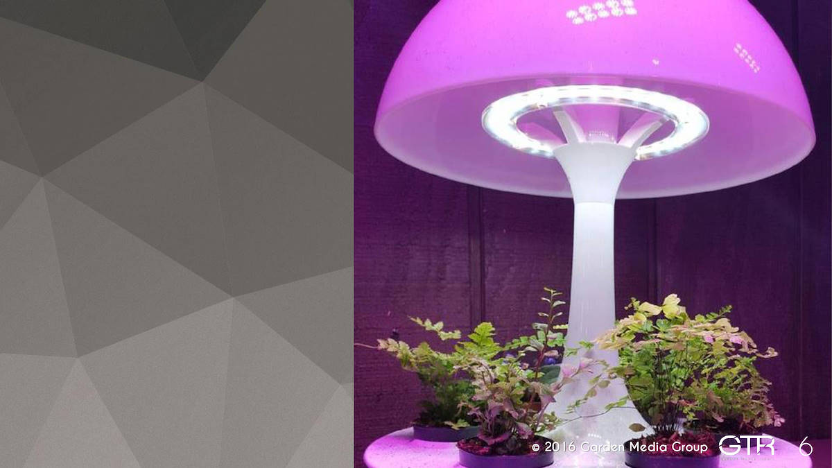 I trend 2017 del settore Garden