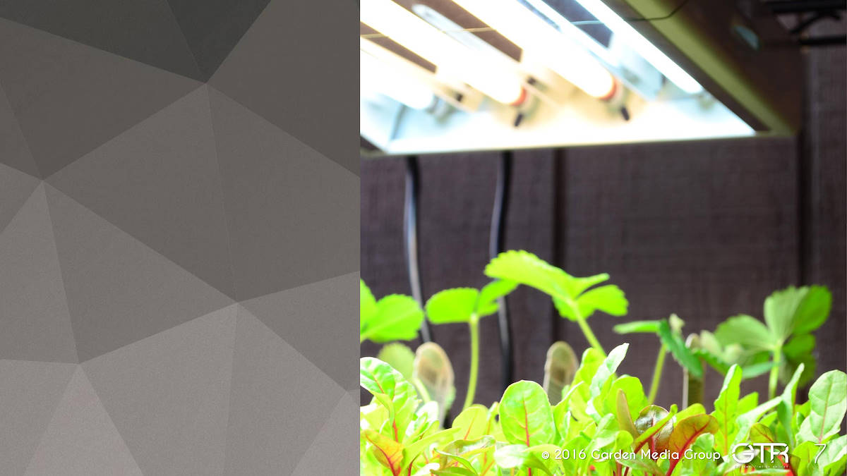 I trend 2017 del settore Garden