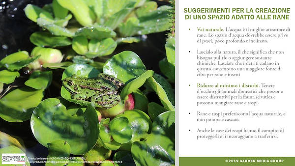 I trends 2020 del settore Garden - Terza parte
