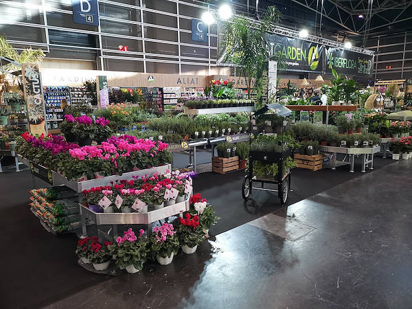 Iberflora 2021: откройте для себя стенд Орланделли