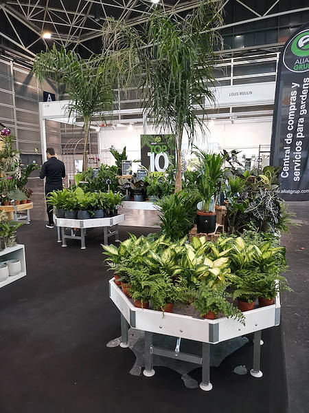 Iberflora 2021: découvrez l'exposition Orlandelli