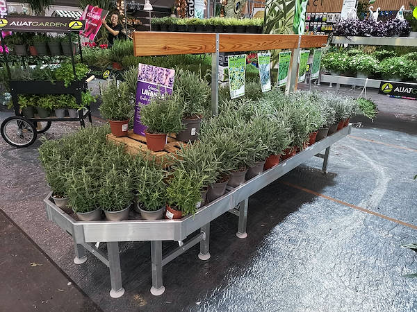 Iberflora 2021: descubre la exposición de Orlandelli por AliatGarden