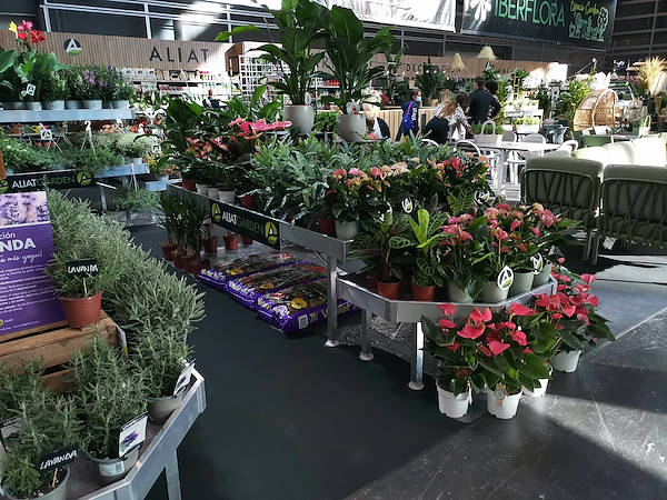 Iberflora 2021: descubre la exposición de Orlandelli por AliatGarden