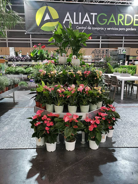 Iberflora 2021: discover the Orlandelli exhibition
