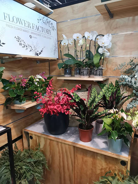 Iberflora 2021: discover the Orlandelli exhibition