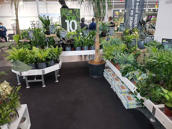 Iberflora 2021: discover the Orlandelli exhibition