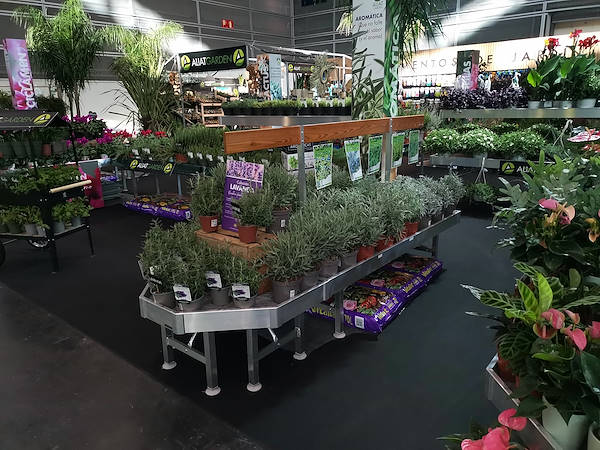 Iberflora 2021: اكتشف معرض أورلانديلي