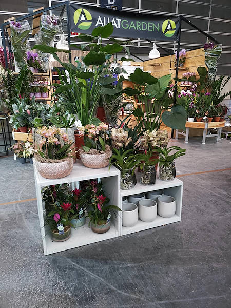 Iberflora 2021: Entdecken Sie die Standausstellung von Orlandelli