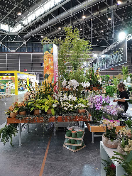 Iberflora 2021: Entdecken Sie die Standausstellung von Orlandelli
