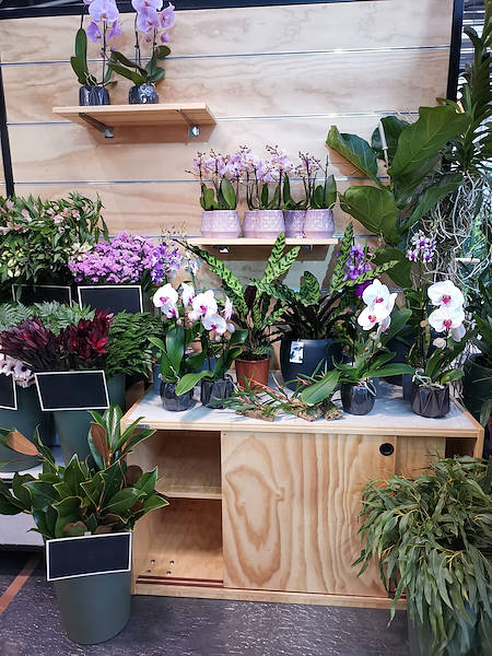 Iberflora 2021: Entdecken Sie die Standausstellung von Orlandelli