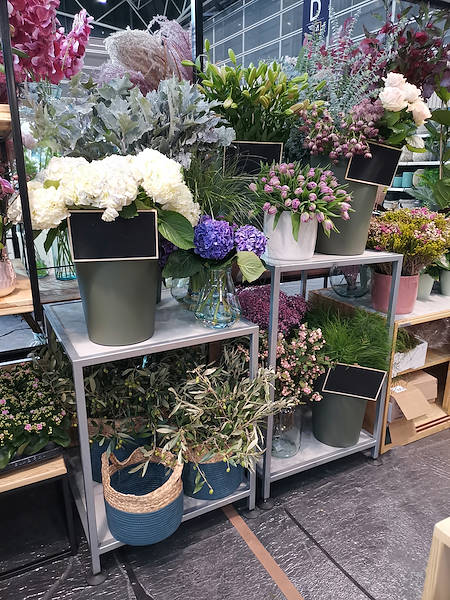 Iberflora 2021: Entdecken Sie die Standausstellung von Orlandelli