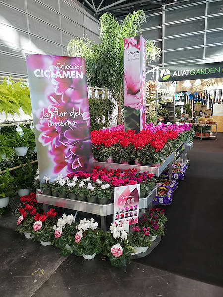 Iberflora 2021: Entdecken Sie die Standausstellung von Orlandelli