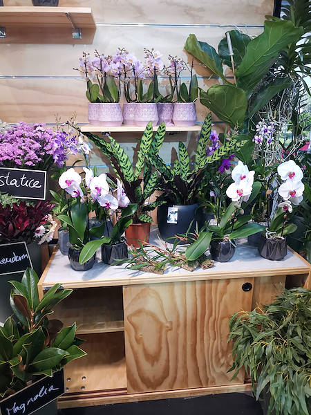 Iberflora 2021: Entdecken Sie die Standausstellung von Orlandelli