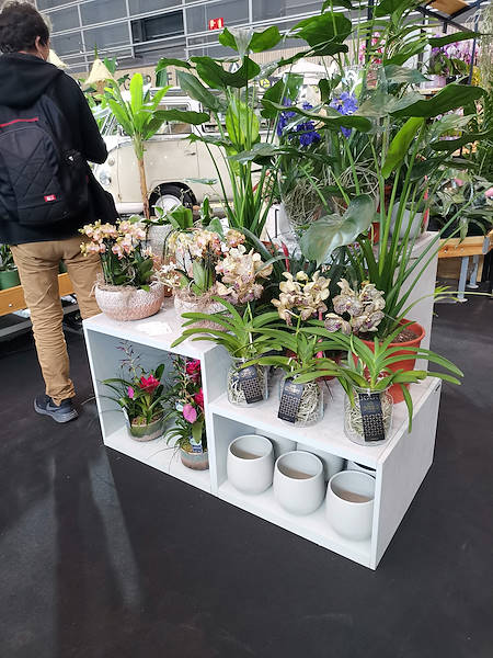Iberflora 2021: Entdecken Sie die Standausstellung von Orlandelli
