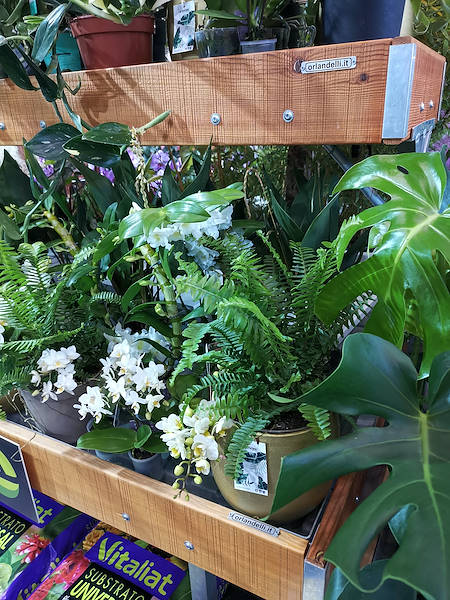 Iberflora 2021: Entdecken Sie die Standausstellung von Orlandelli