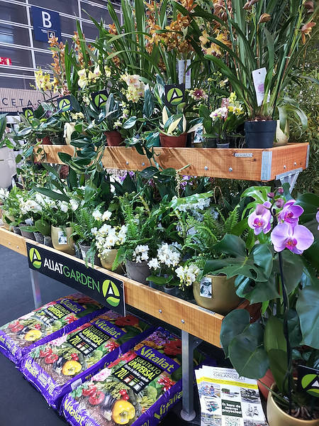 Iberflora 2021: Entdecken Sie die Standausstellung von Orlandelli