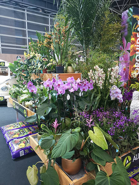 Iberflora 2021: Entdecken Sie die Standausstellung von Orlandelli