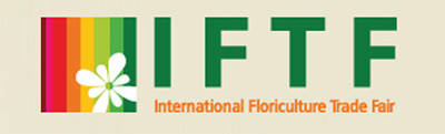 IFTF Holanda