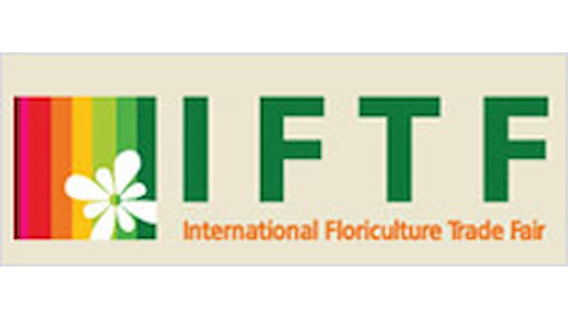 IFTF Holland