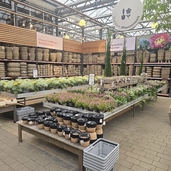 IGCA 2026 Rückblick: Innovation, Visual Merchandising und globale Community