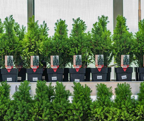 IKEA Litauen wählt die Ausstellungskonzepte der Orlandelli