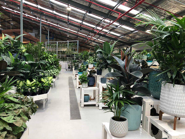 Il nuovo Garden Center Flower Power