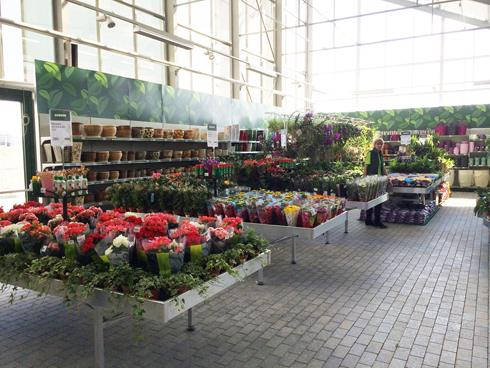 Inauguración del nuevo Centro de Jardinería Darwin